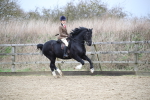 SBM_006081