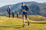 Sale Fell-361