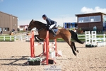 Cls 20 British Novice and 90cm portfolio