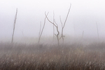 Sky Lake--September Fog