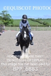 BPP_6883