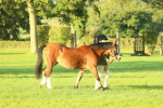 SBM_56769