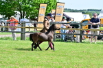 SBM_03559