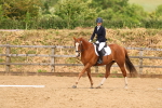 SBM_002295