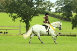SBM_75037