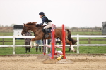 SBM_002206