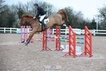 Cls Children on Horses portfolio