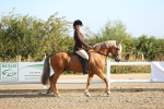 SBM_01107