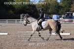BPP_8770