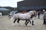 SBM_007284