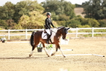 SBM_009850