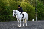 WJ5_8986