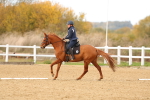 SBM_001828