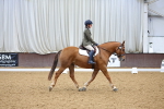 SBM_001931