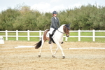 Novice 1 portfolio