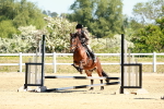 SBM_007101