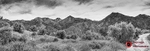 190517-untitled-1L4A1266-Edit-Edit-Edit