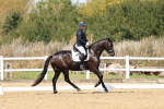 SBM_018612