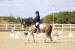 SBM_014564