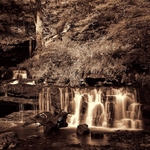 Scaleber Force 03
