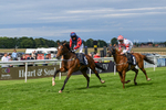 160724-Race 5-Believitanducan-9250
