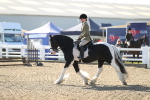 SBM_01175
