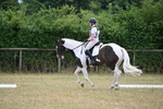WJ6_5387