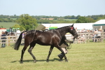 SBM_09266