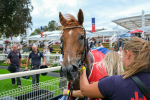 080925-Race 2-Alzahir-7964