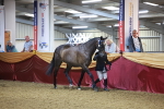 SBM_14940