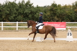 SBM_000942