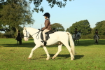 SBM_59171