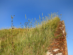 Shoreham Fort - 24