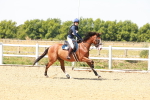 SBM_002220