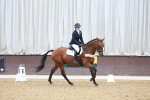 SBM_002631