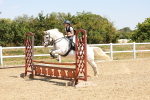 SBM_003768
