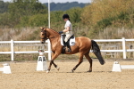 SBM_018648