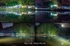 'Ring of Light' Compilation Card 5