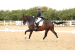 SBM_006407