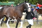WJ6_8073