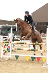 Class 5 - Senior Foxhunter 1.20m portfolio