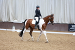 SBM_006015