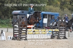 BPP_0347
