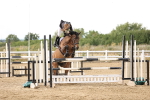 SBM_027008
