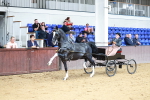 SBM_001024