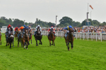 170623-Race 7-The Green Man-7495