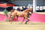SBM_02262