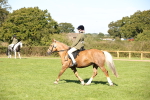 SBM_38981