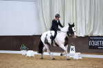 SBM_003341