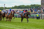 150526-Race 3-Warrant Holder-7540